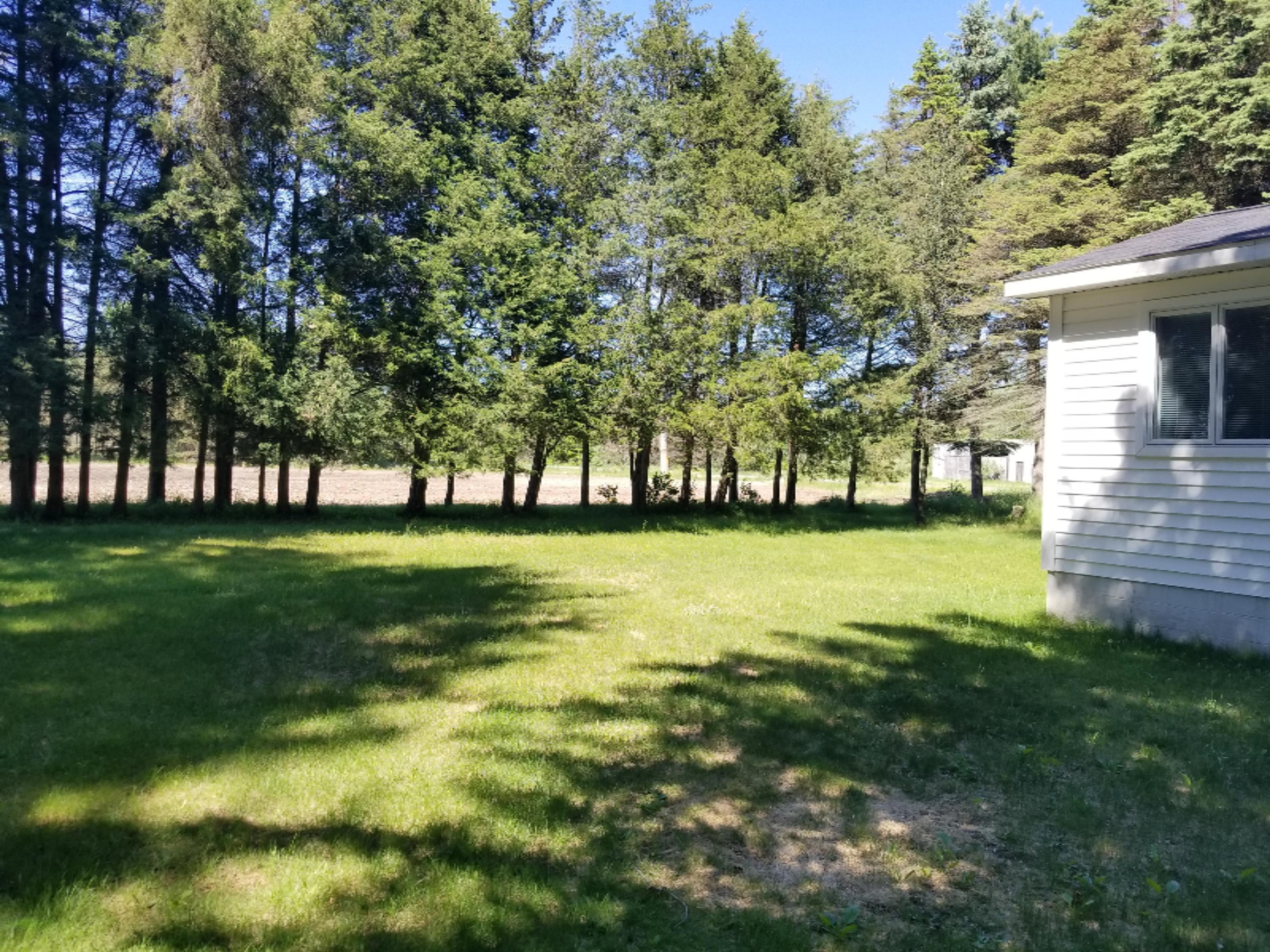 1559 North Benson Road Fountain, MI 49410 - Photo 5 of 43 20180601_161404