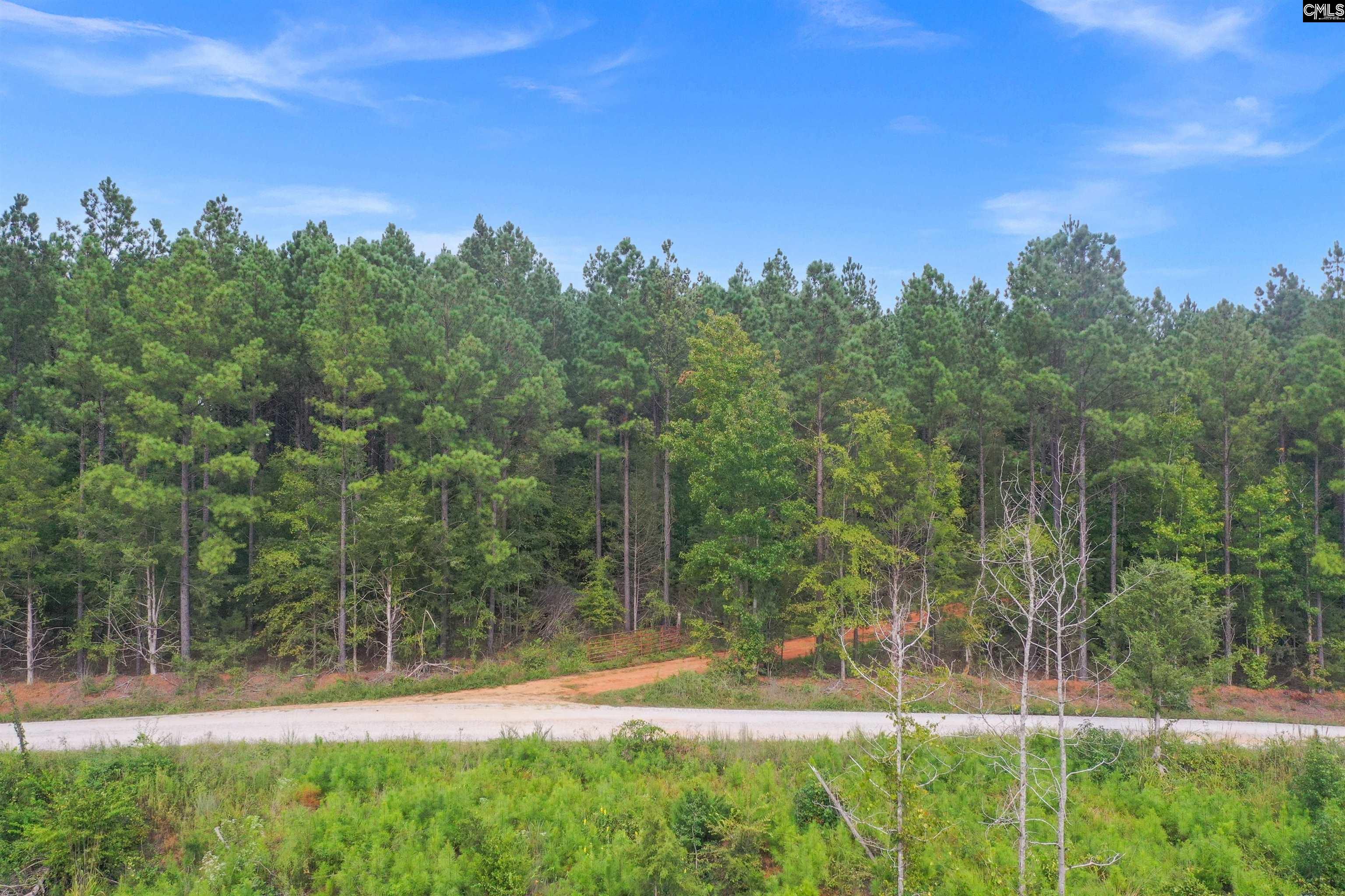 0 Penner Road, Unit 10 Jenkinsville, SC 29065 - Photo 17 of 43