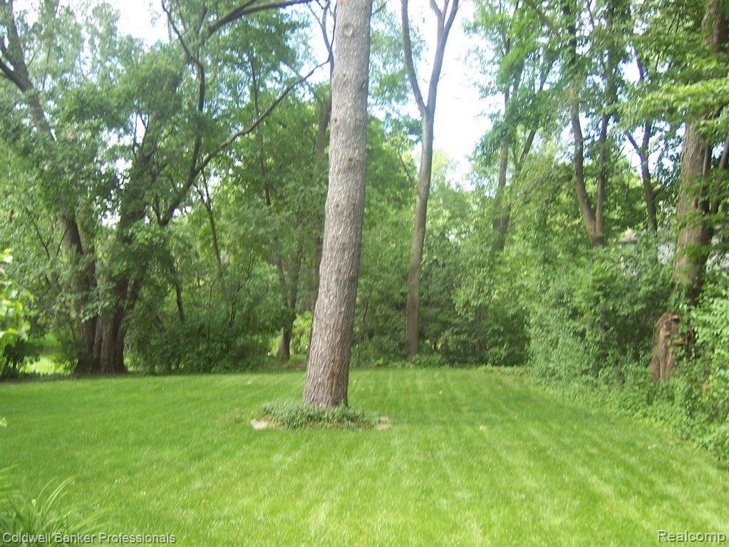 19400 Beverly Road Franklin, MI 48025 - Photo 17 of 17 102_7466.JPG