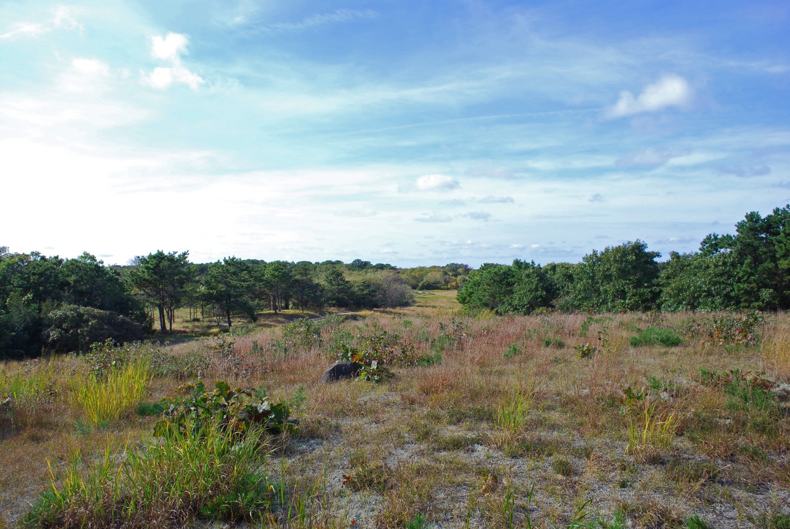 1 Dike Road Edgartown, MA 02539 - Photo 2 of 4 a view of a field with trees in the background