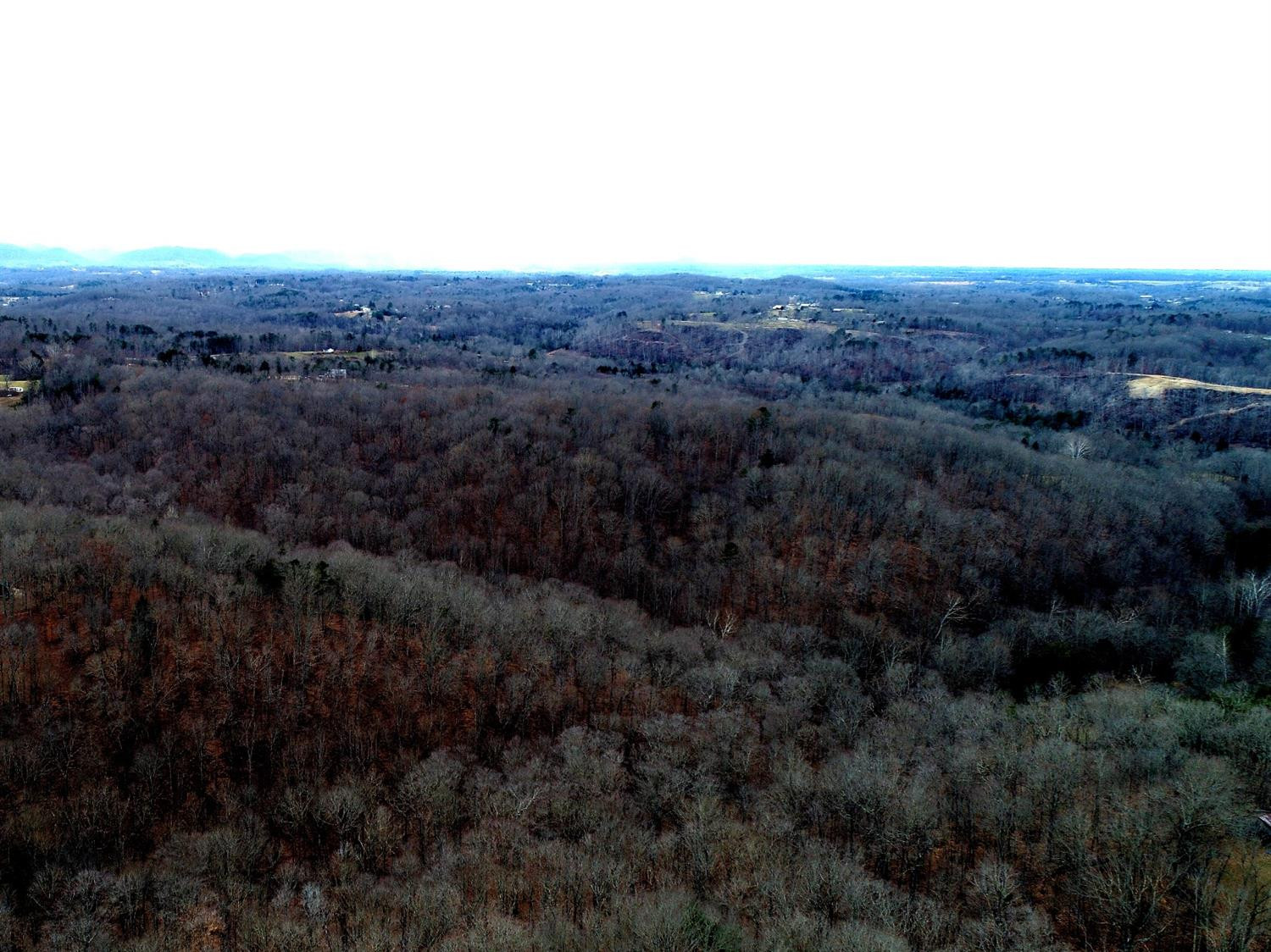 146 Opossum Run Road Irvine, KY 40336 - Photo 11 of 64 Beautiful timber from Sandhill to Opossu