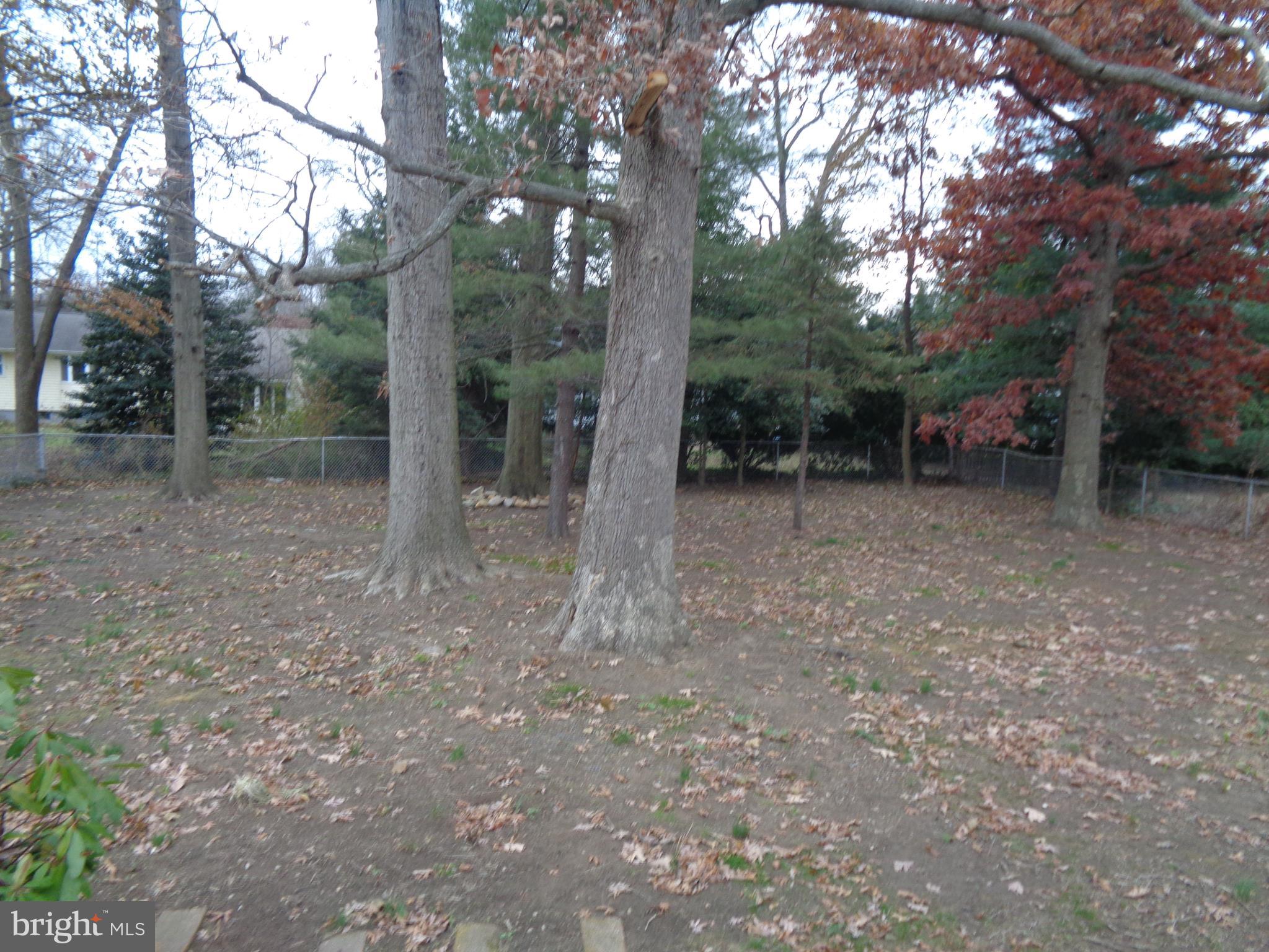 12 Whitman Road Hamilton, NJ 08619 - Photo 4 of 21 view of backyard