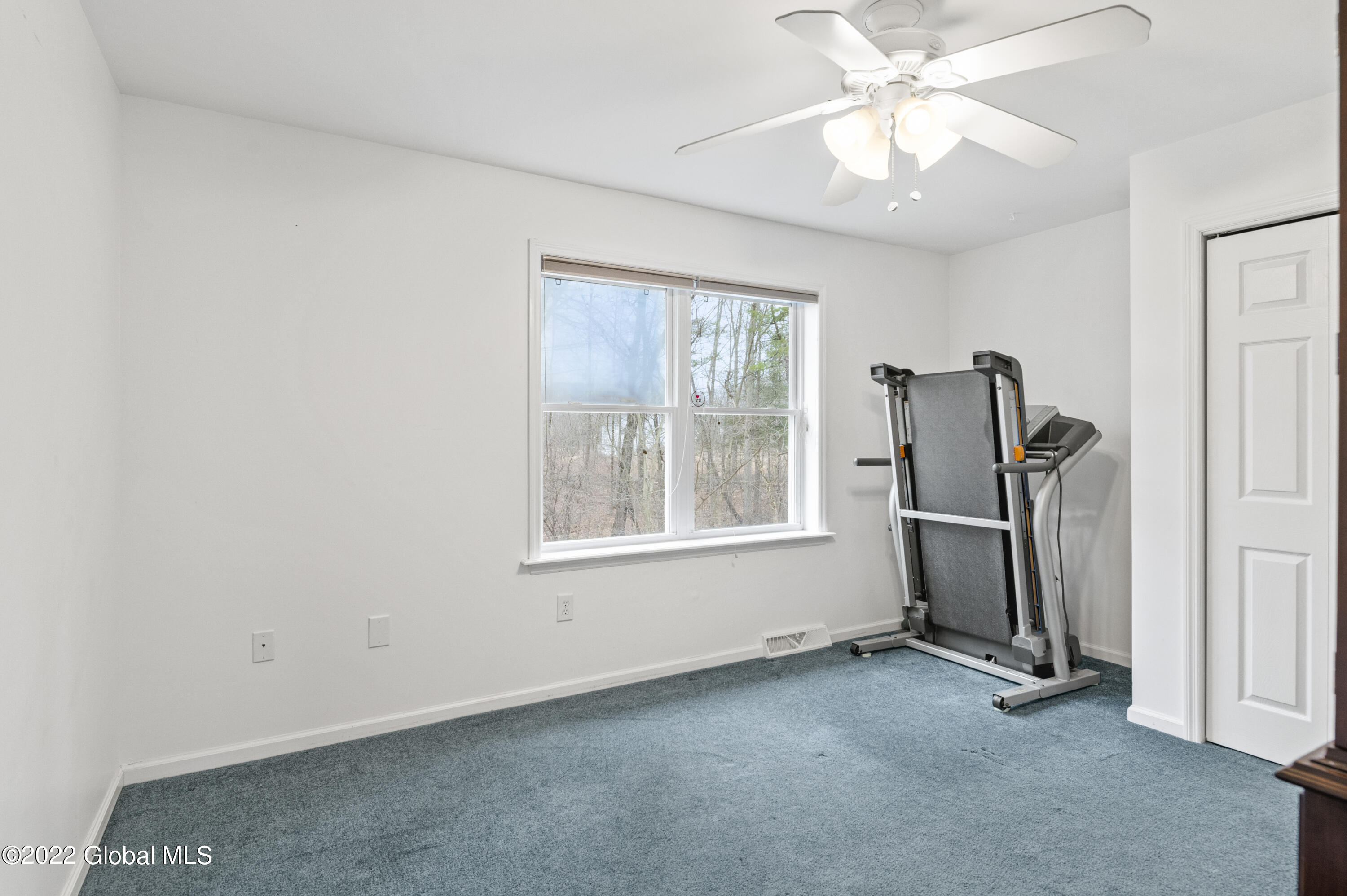 156 Hasgate Drive Bethlehem, NY 12054 - Photo 18 of 26 MHF_1593