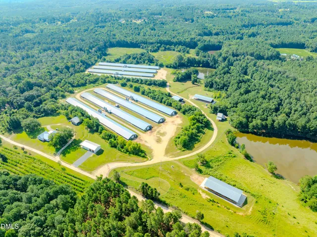 a view of a swimming pool with a yard