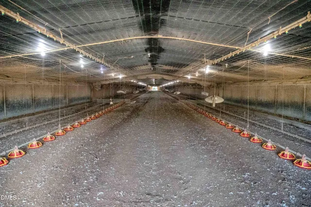 a view of a wooden house with a yard