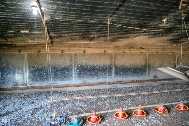 a view of backyard with wooden fence and trees