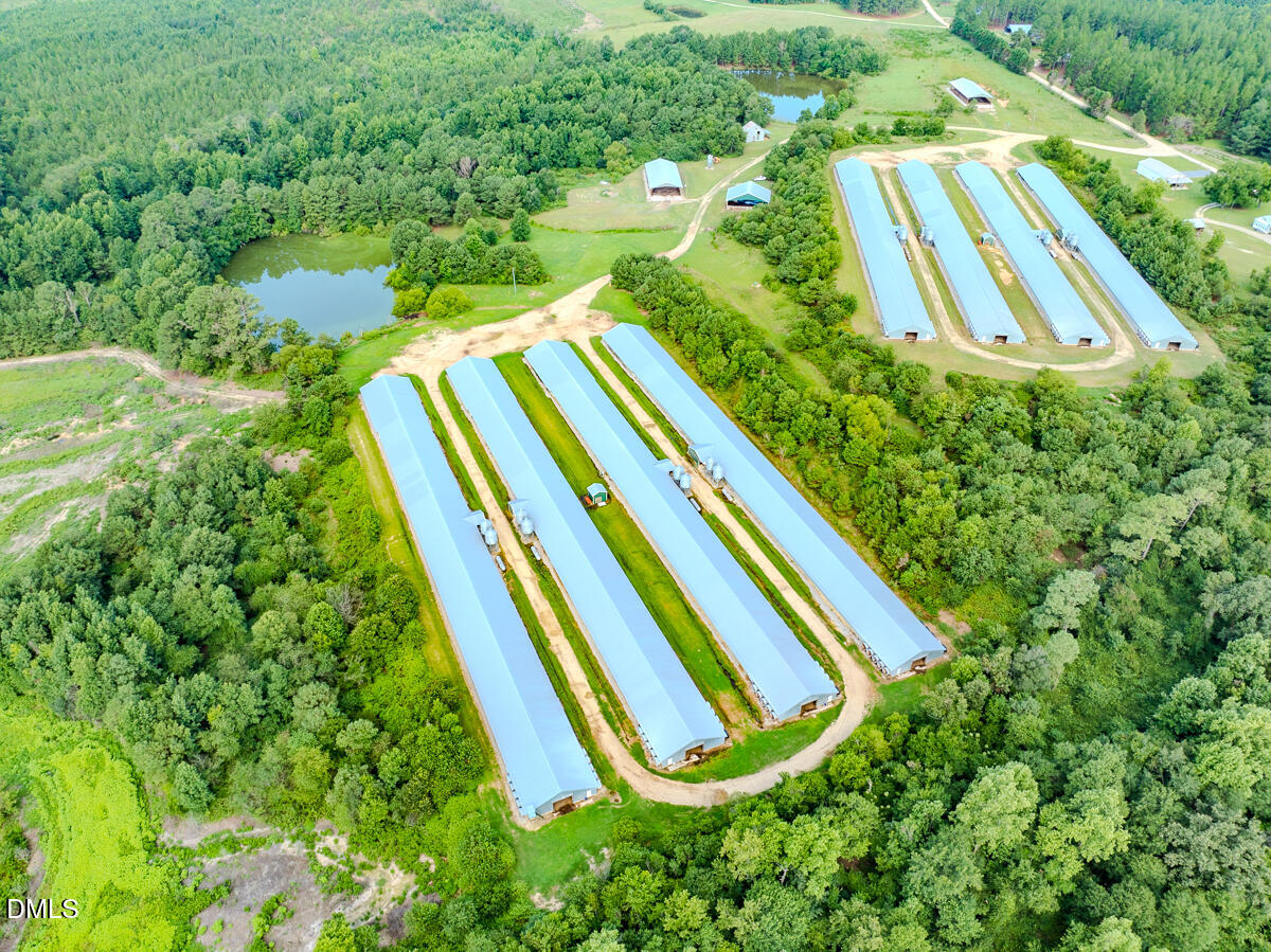 687 Brock Road Bunnlevel, NC 28323 - Photo 45 of 68 a view of a yard