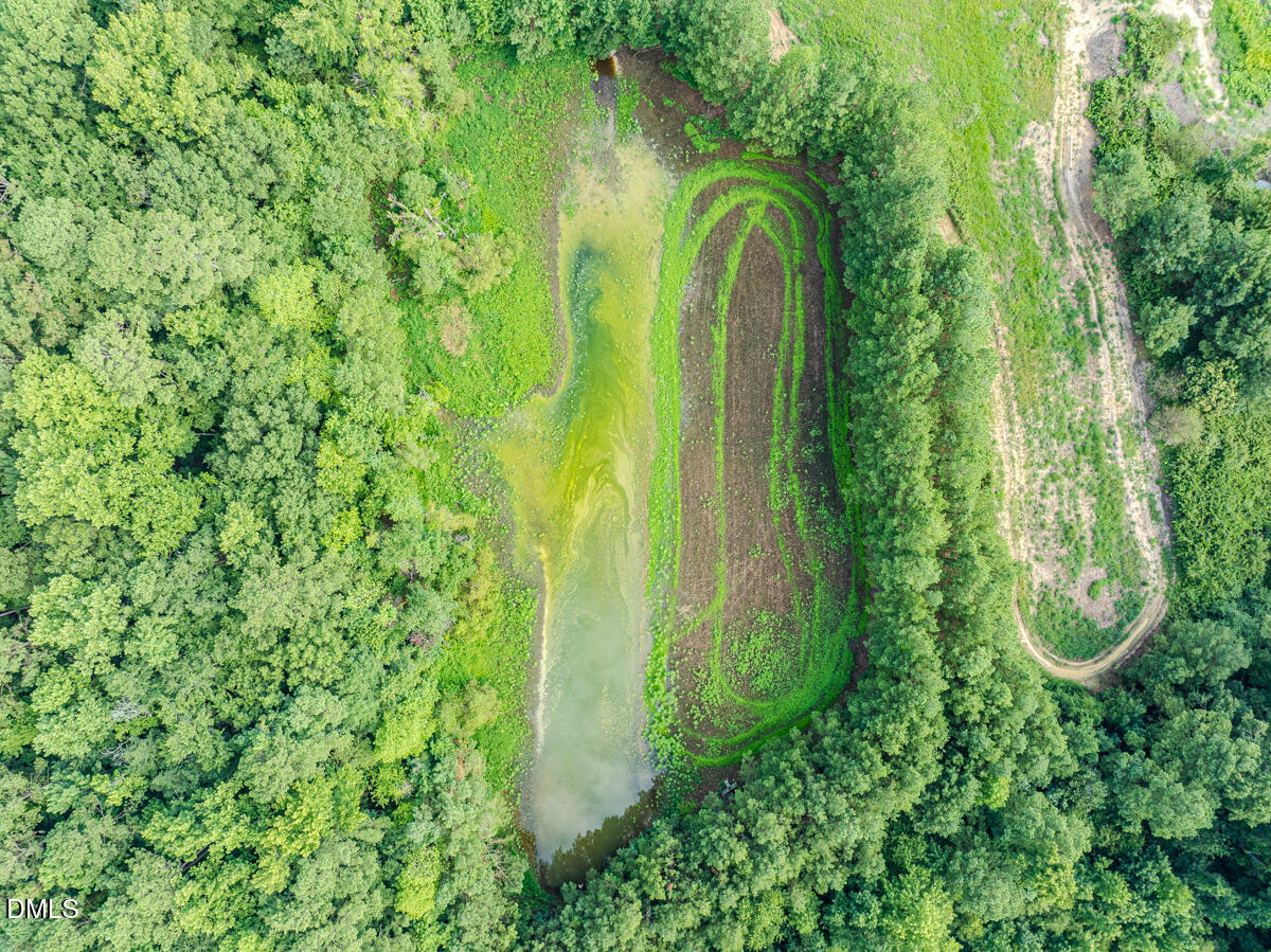 687 Brock Road Bunnlevel, NC 28323 - Photo 53 of 68 a view of a garden with plants