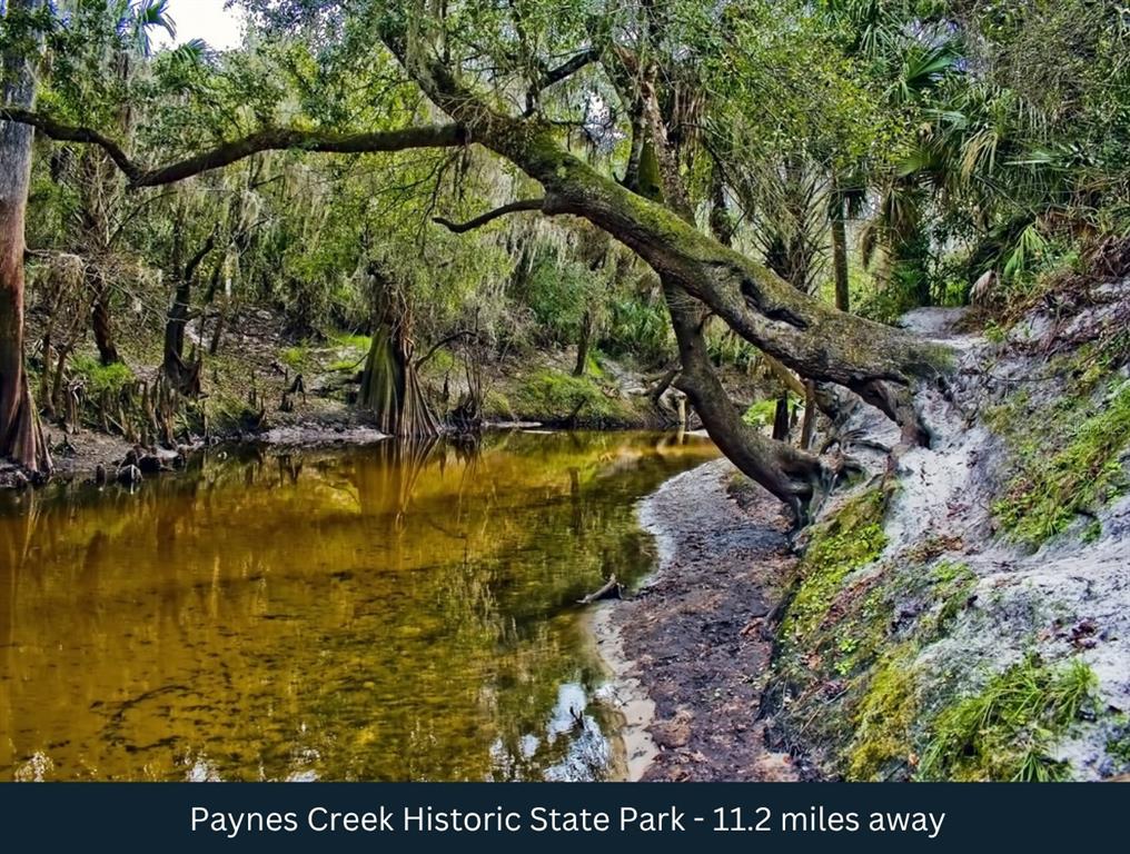 North Barlow Road Wauchula, FL 33873 - Photo 15 of 27