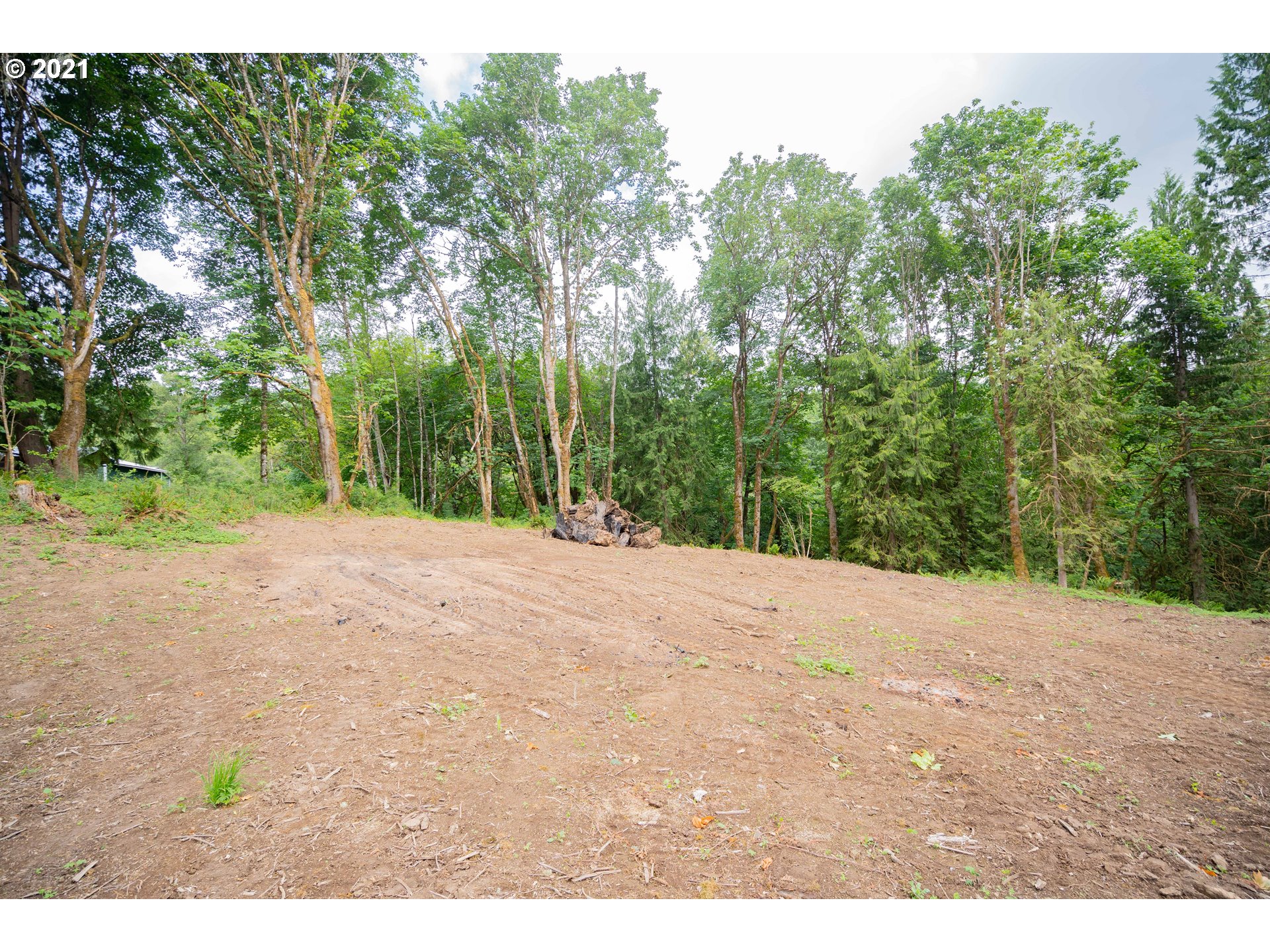701 Gun Club Road Woodland, WA 98674 - Photo 11 of 23 Gallery Image 11