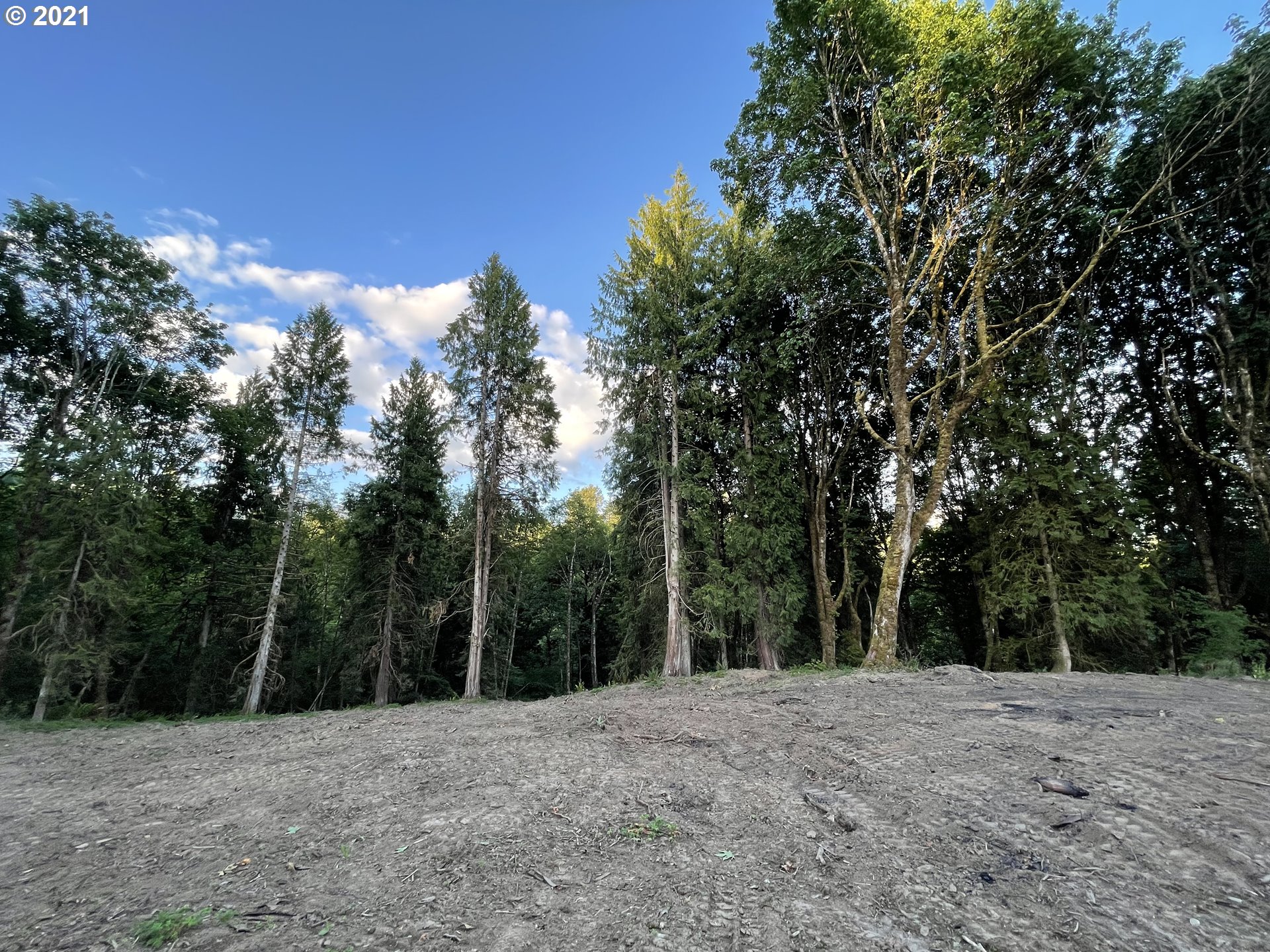 701 Gun Club Road Woodland, WA 98674 - Photo 13 of 23 Gallery Image 13