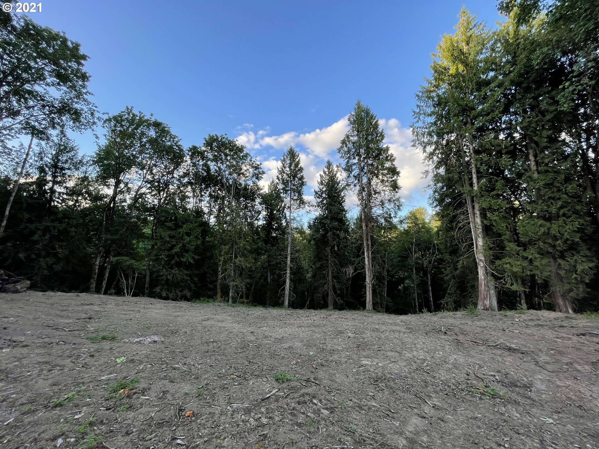 701 Gun Club Road Woodland, WA 98674 - Photo 14 of 23 Gallery Image 14