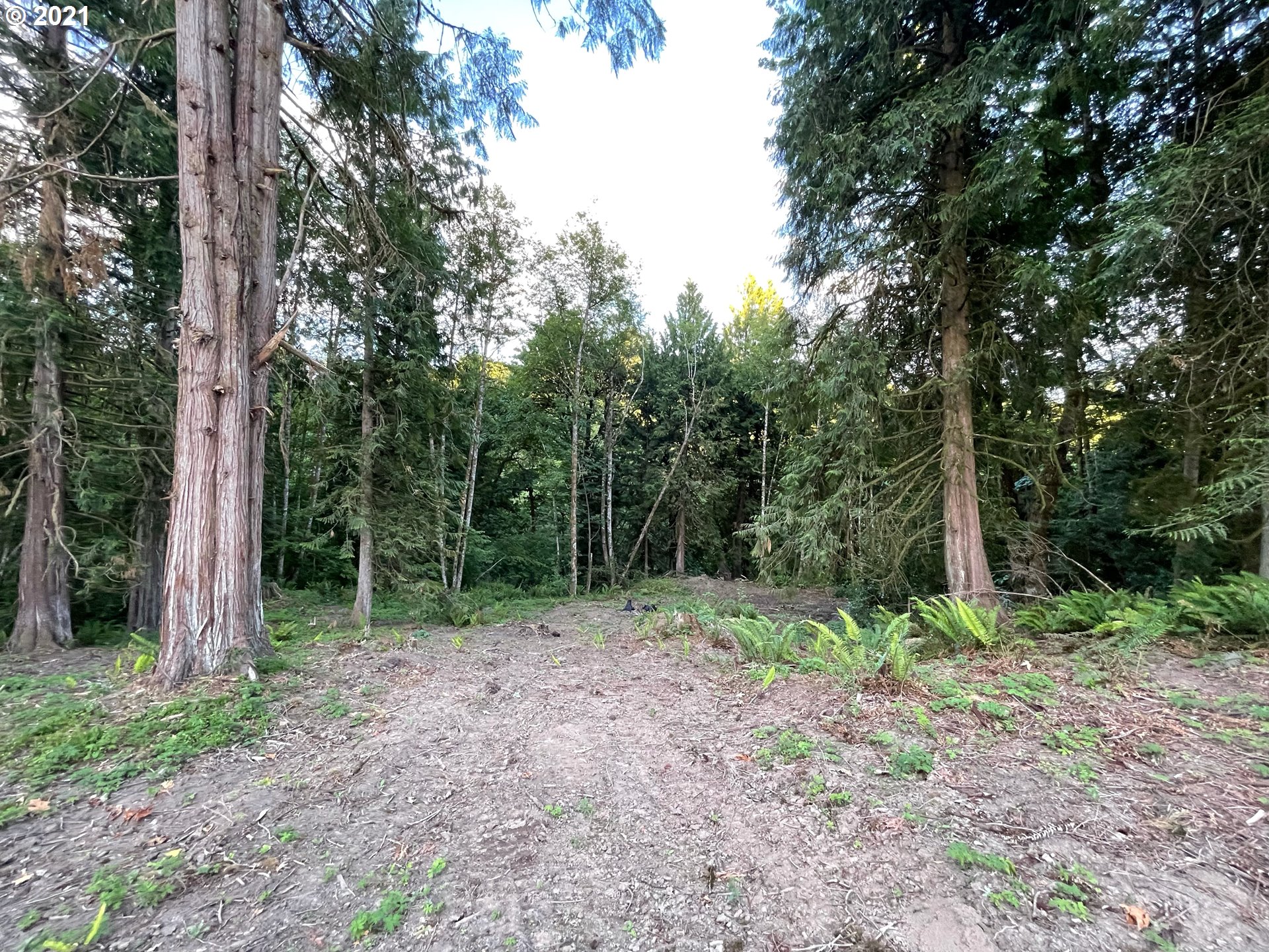 701 Gun Club Road Woodland, WA 98674 - Photo 15 of 23 Gallery Image 15