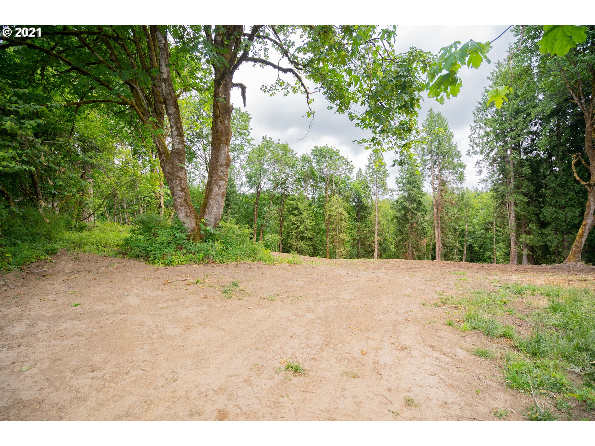 701 Gun Club Road Woodland, WA 98674 - Photo 8 of 23 Gallery Image 8