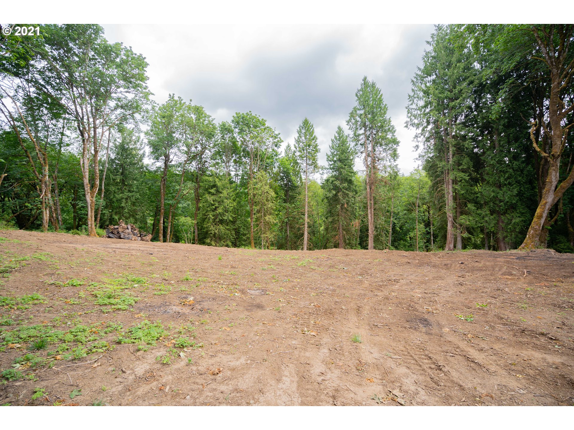 701 Gun Club Road Woodland, WA 98674 - Photo 9 of 23 Gallery Image 9