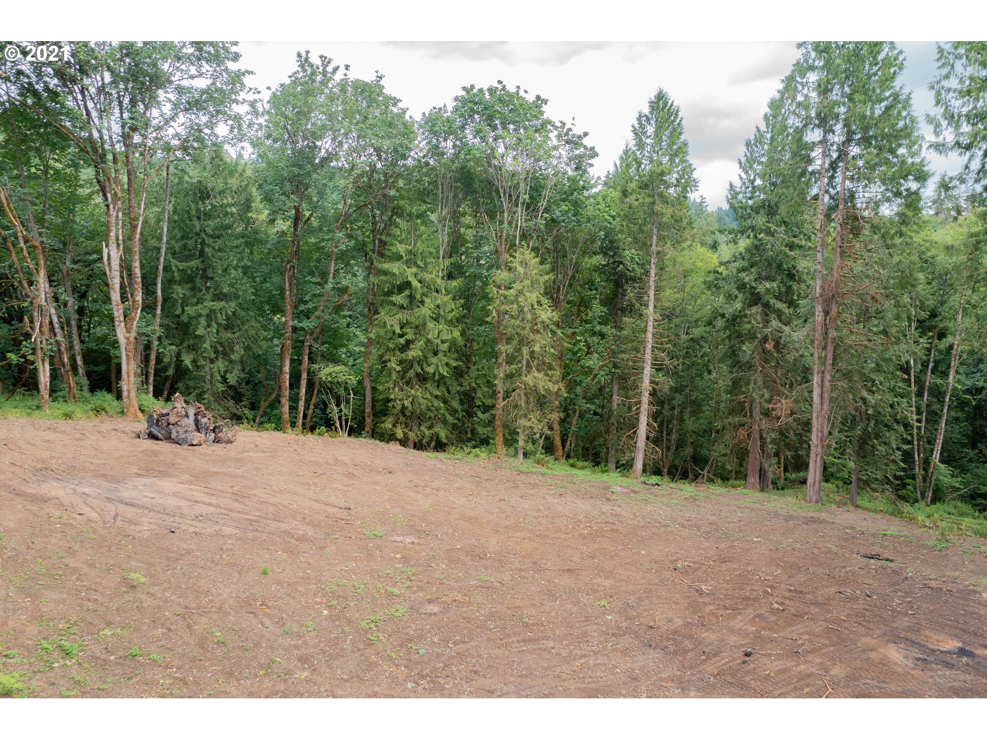 701 Gun Club Road Woodland, WA 98674 - Photo 10 of 23 Gallery Image 10