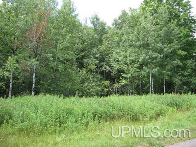 Tbd East Hunter Road Iron River, MI 49935 - Photo 1 of 1
