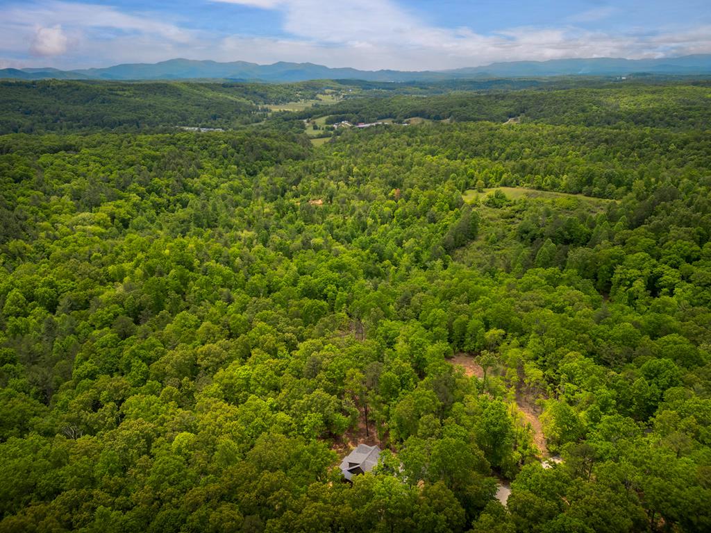 375 Ridge Brook Drive Morganton, GA 30560 - Photo 34 of 34 a view of a lush green forest with a mountain