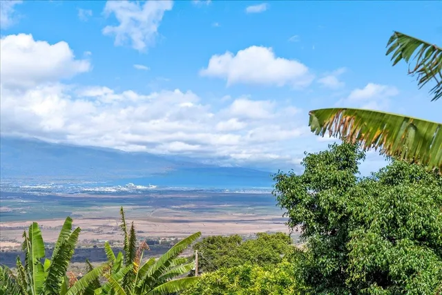a view of a lake with a yard