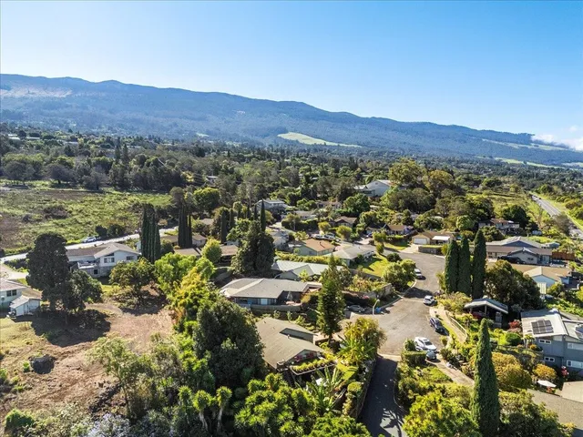 a backyard of a house with table and chairs plants and large trees