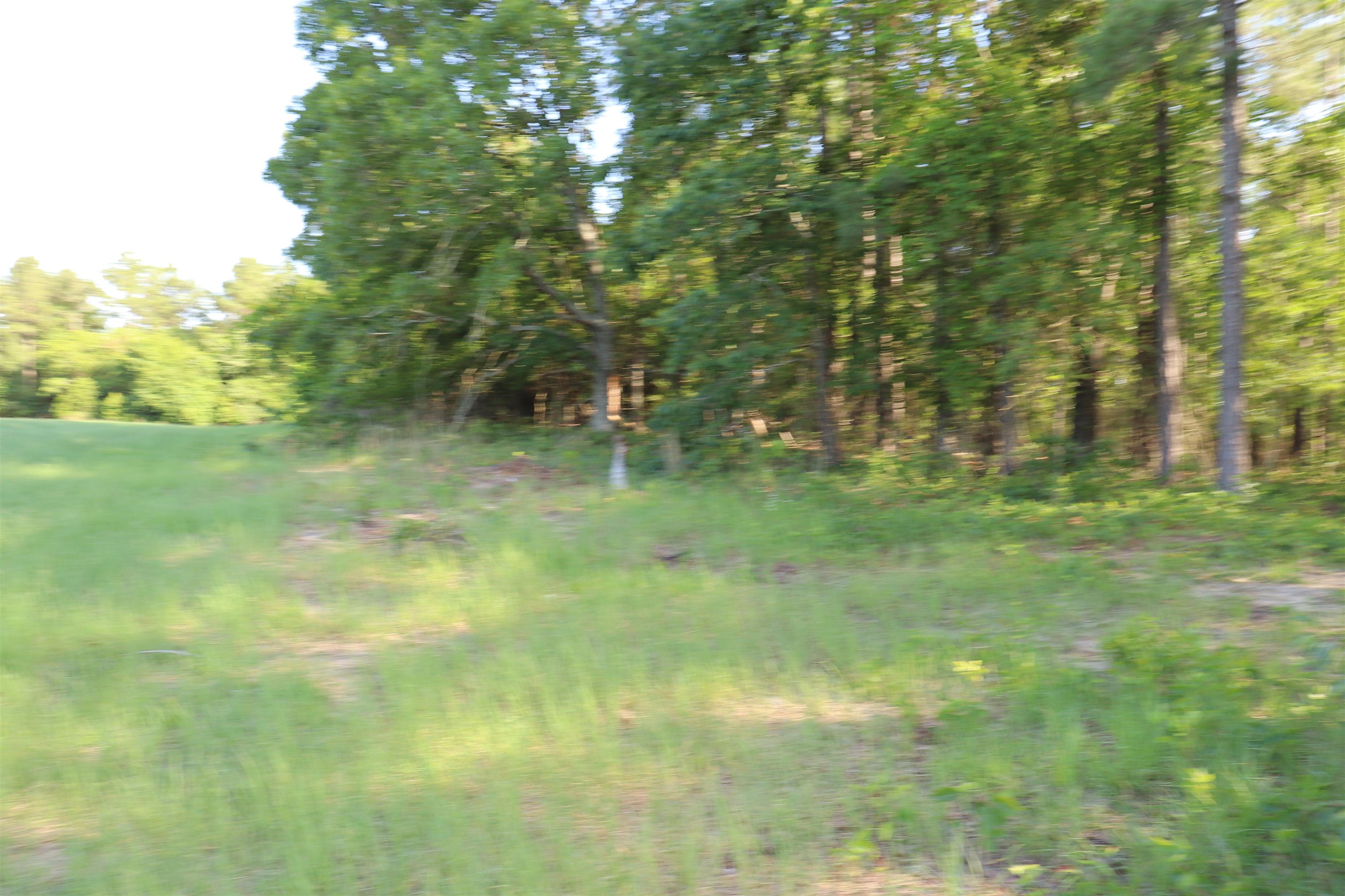2631 Charlie Johnson Road Bethune, SC 29009 - Photo 13 of 29