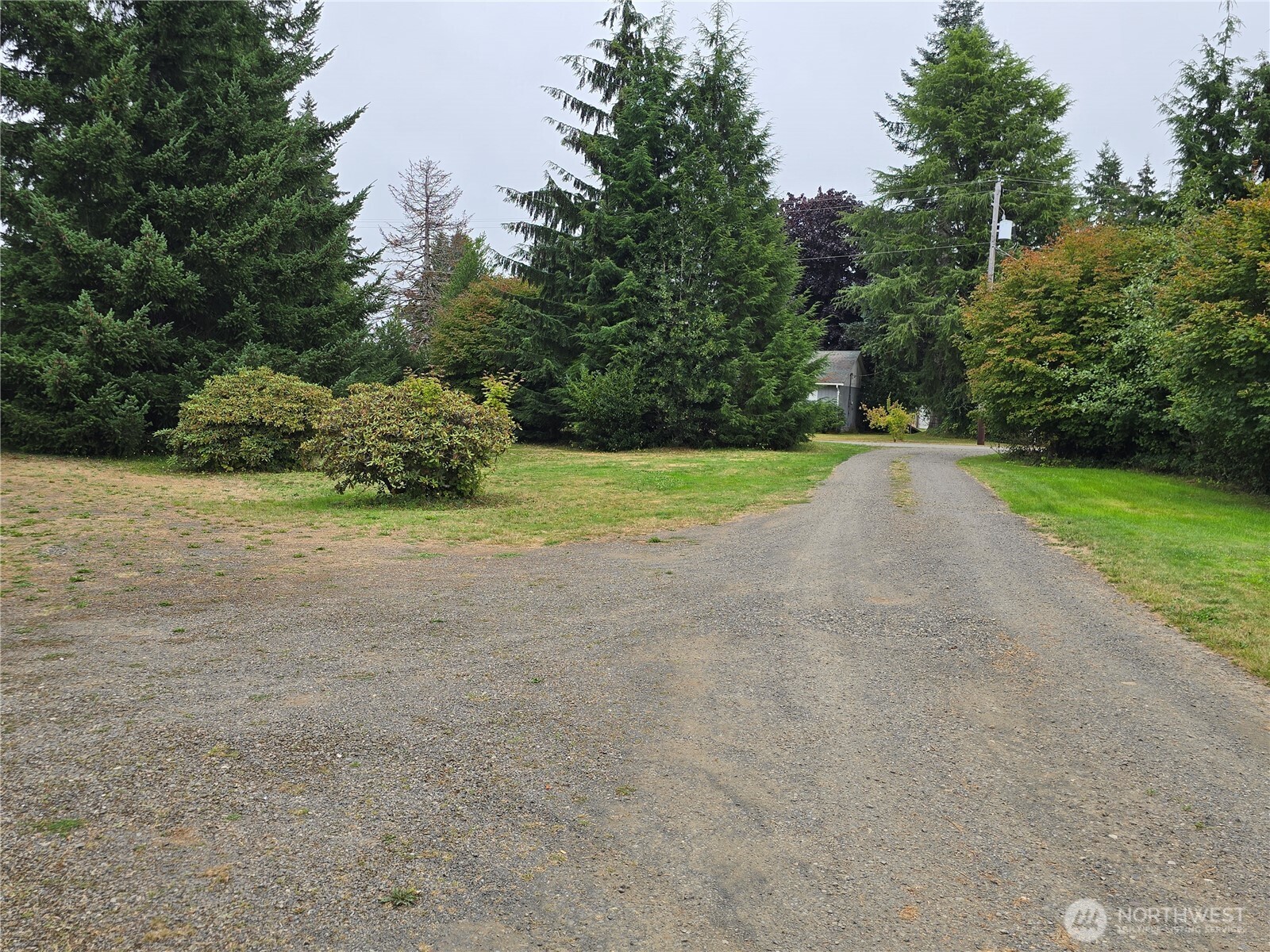 600 Russell Road Forks, WA 98331 - Photo 31 of 31 a view of a field with a trees in the background