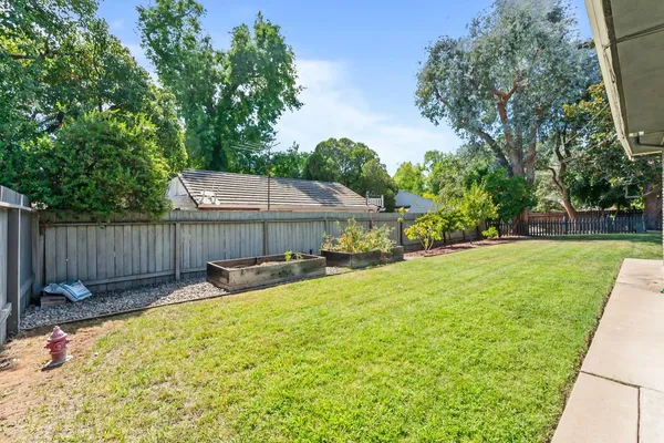 a view of a backyard with a garden and tree