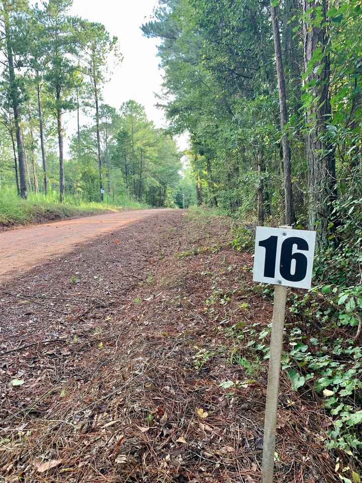 0 Montpelier Springs Road, Unit 16 Forsyth, GA 31029 - Photo 1 of 1 Gallery Image 1