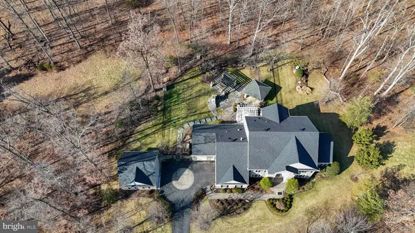a view of a room with wooden floor and potted plant
