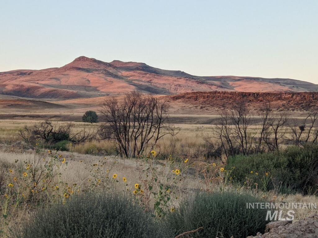 View of mountain background