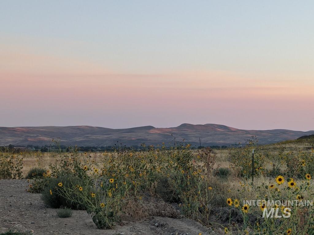 Tbd Tbd Indian Hot Springs Weiser, ID 83672 - Photo 2 of 7 View of mountain background