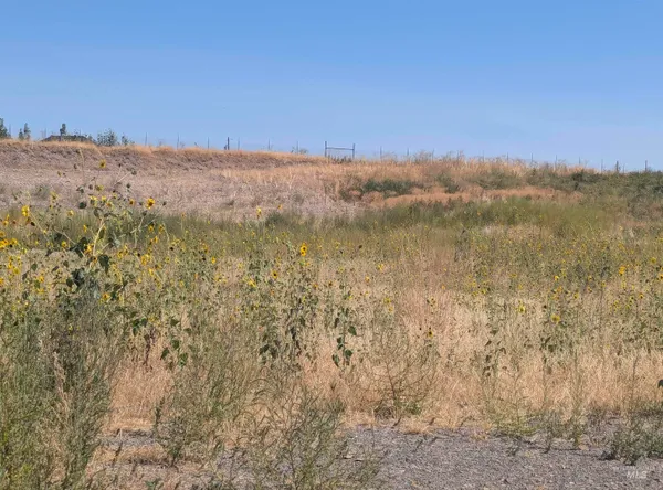 $280,000 | Tbd Tbd Indian Hot Springs, Weiser, ID 83672