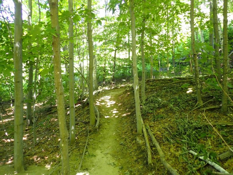 0 Green Mountain Road Waterbury, VT 05676 - Photo 16 of 16