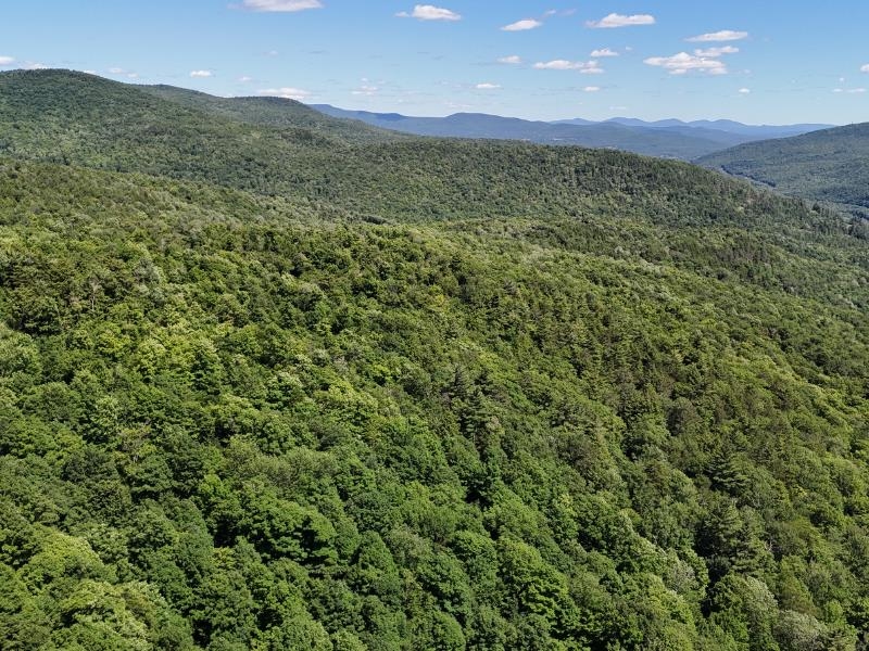 0 Green Mountain Road Waterbury, VT 05676 - Photo 4 of 16