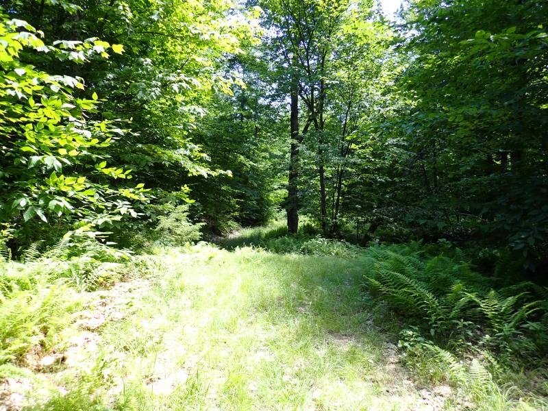 0 Green Mountain Road Waterbury, VT 05676 - Photo 9 of 16