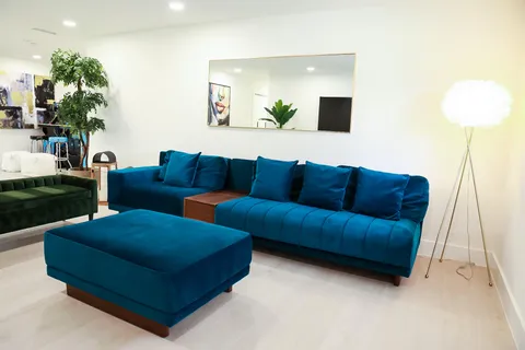 a living room with furniture and a potted plant