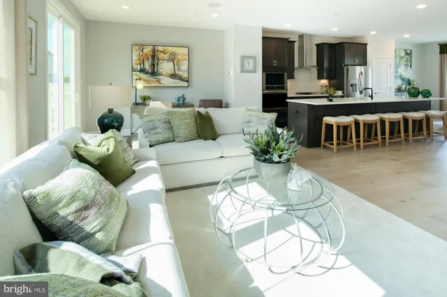 a living room with furniture potted plant and kitchen view