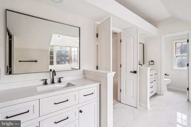 a bathroom with a double vanity sink mirror and toilet
