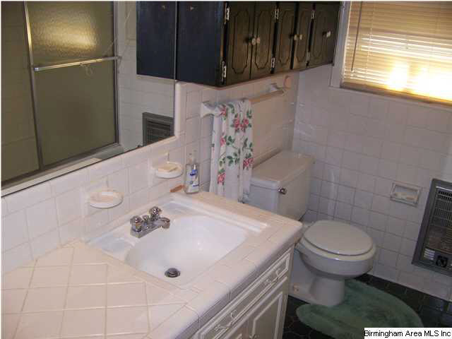 17 Owen Street Oneonta, AL 35121 - Photo 10 of 17