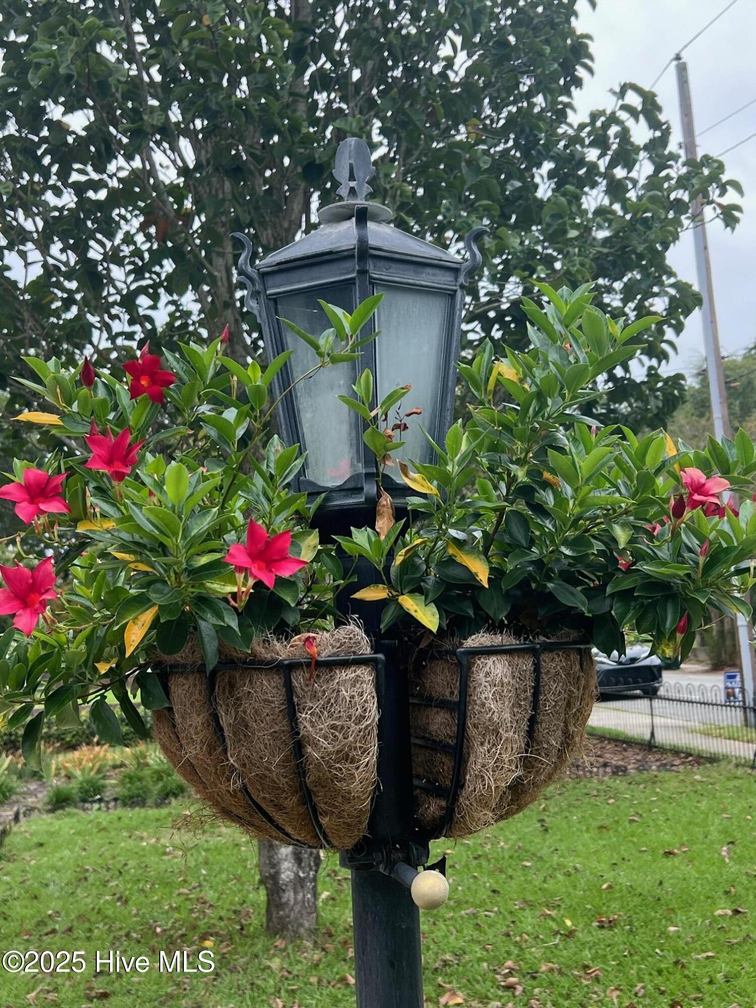 603 West Main Street Washington, NC 27889 - Photo 82 of 110 IMG_1202