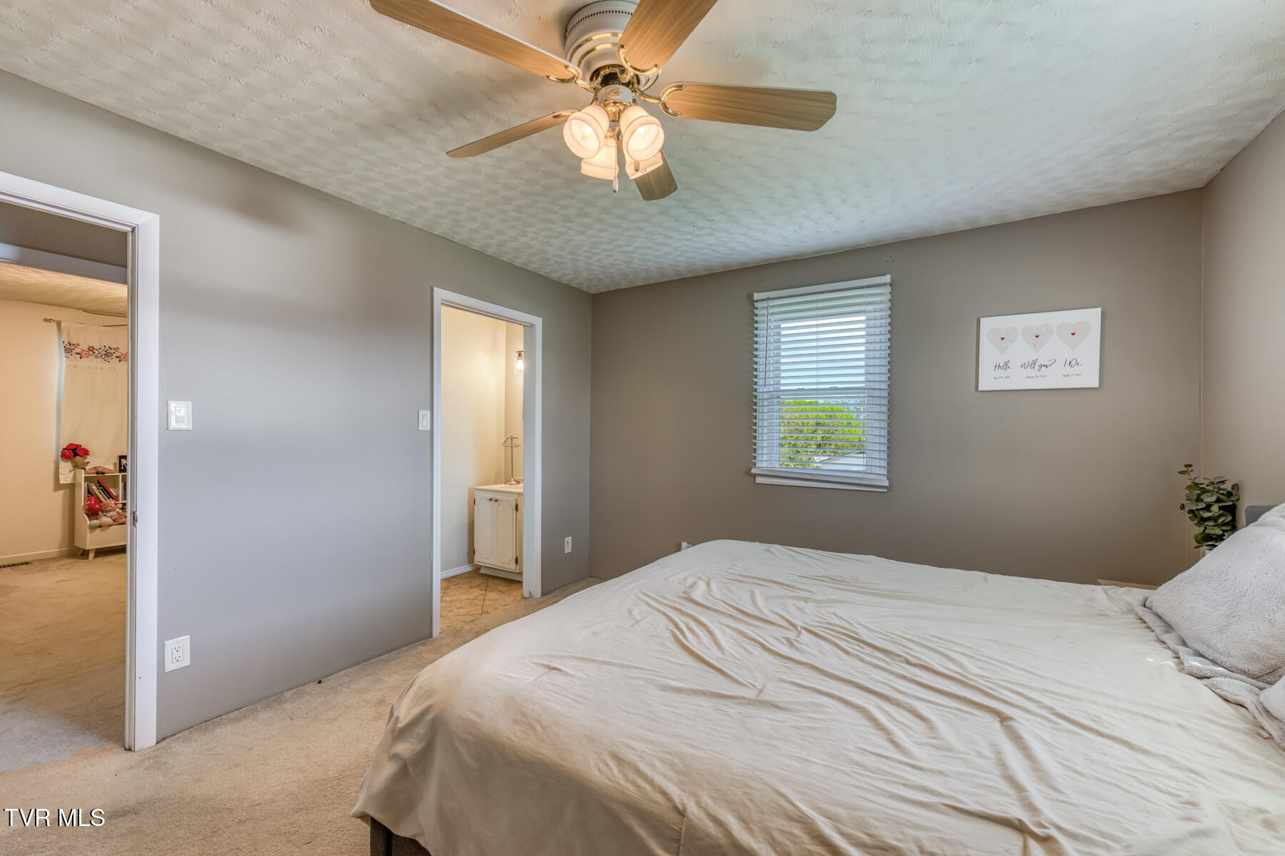 797 Muddy Creek Road Piney Flats, TN 37686 - Photo 20 of 48 797 Muddy Creek Rd-21