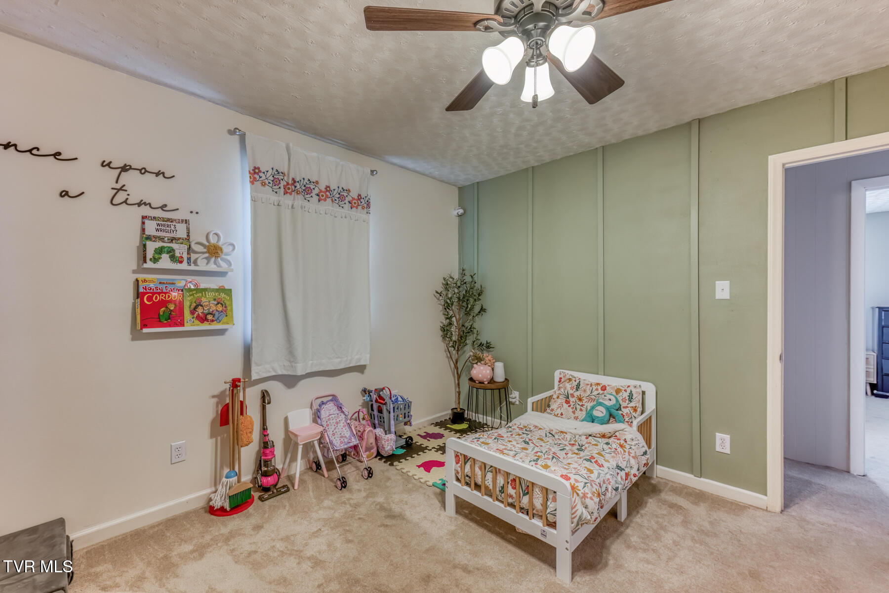 797 Muddy Creek Road Piney Flats, TN 37686 - Photo 26 of 48 797 Muddy Creek Rd-27