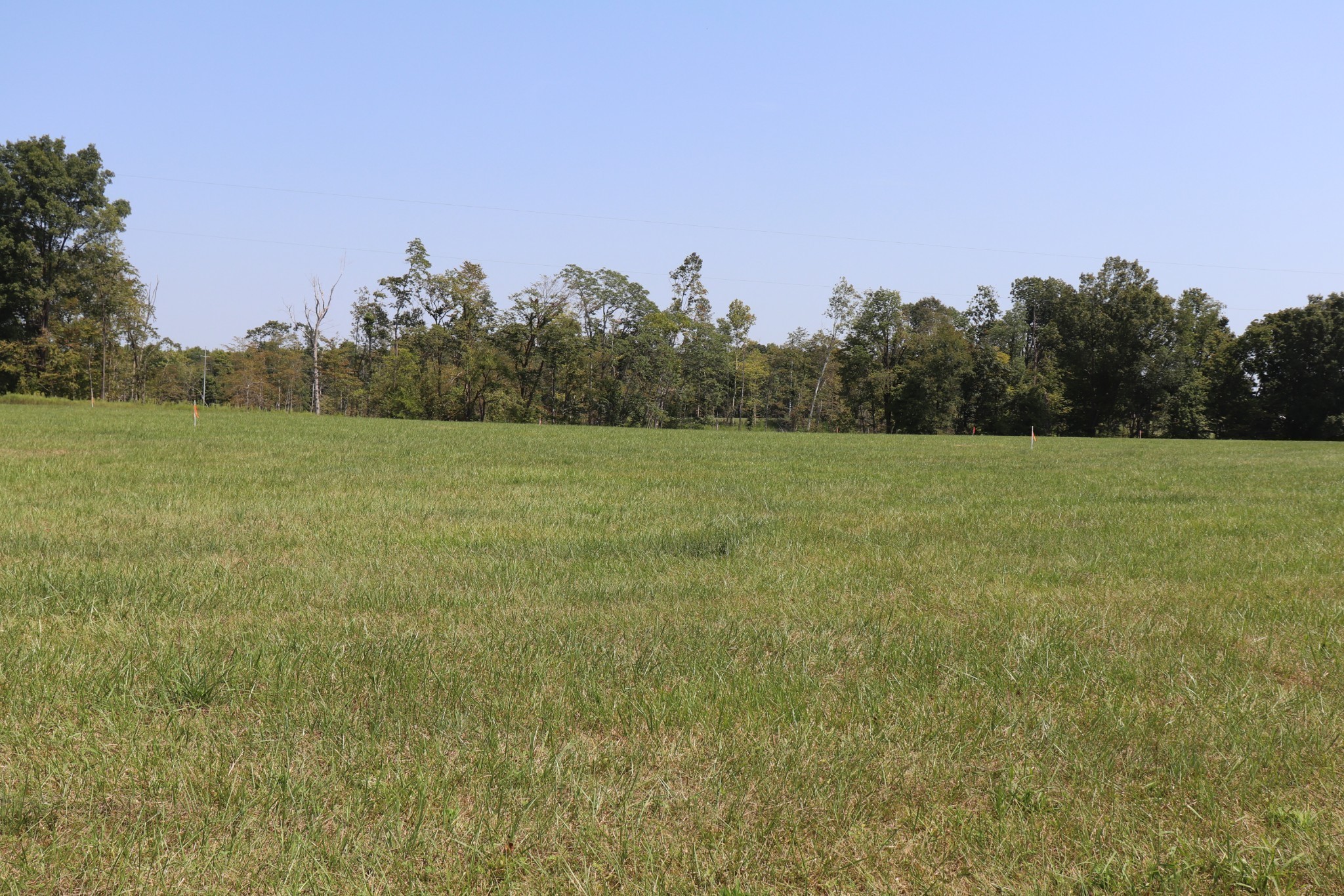 18 Hanestown Road Lafayette, TN 37083 - Photo 10 of 14 Gallery Image 10