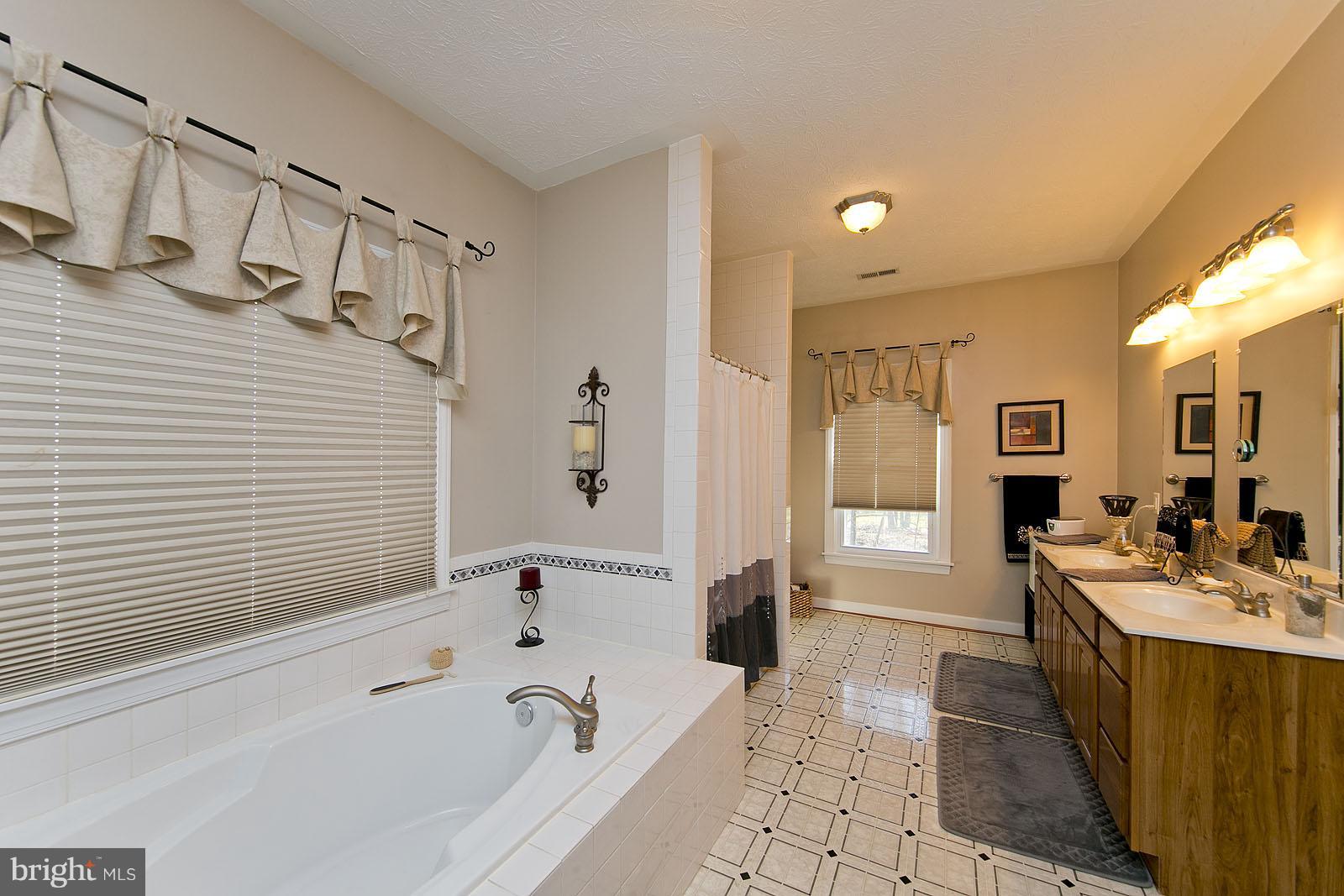 135 Holiday Road Cross Junction, VA 22625 - Photo 17 of 30 Bath (Master)
