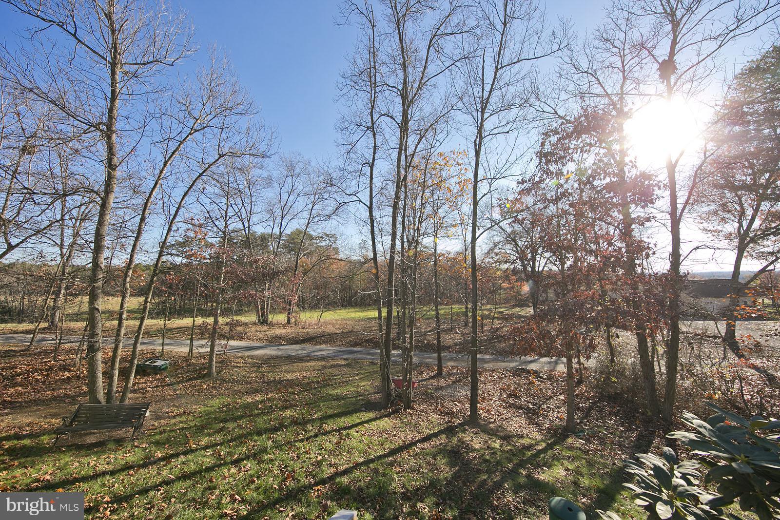 135 Holiday Road Cross Junction, VA 22625 - Photo 4 of 30 Exterior (Rear)