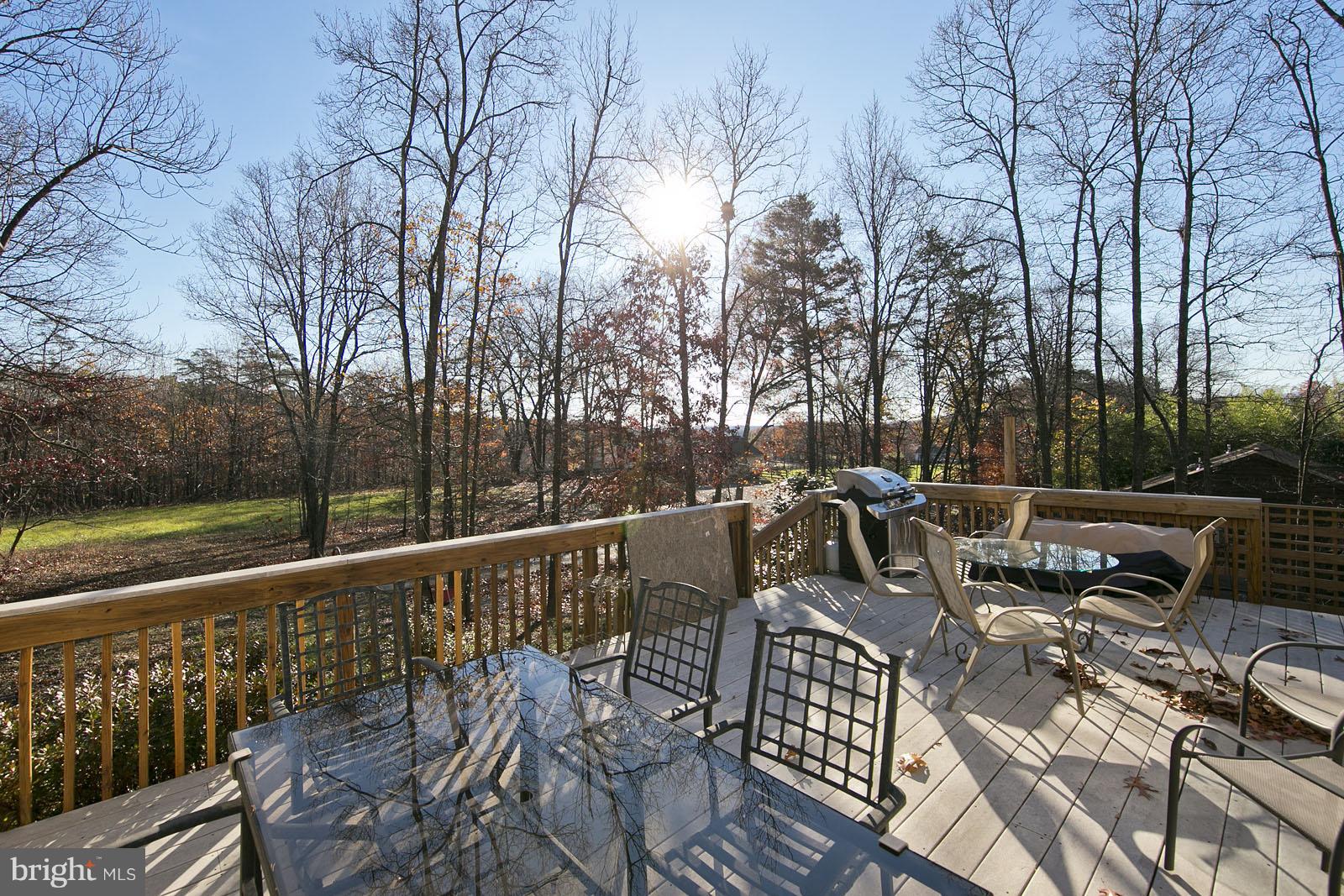 135 Holiday Road Cross Junction, VA 22625 - Photo 7 of 30 Exterior (Rear)