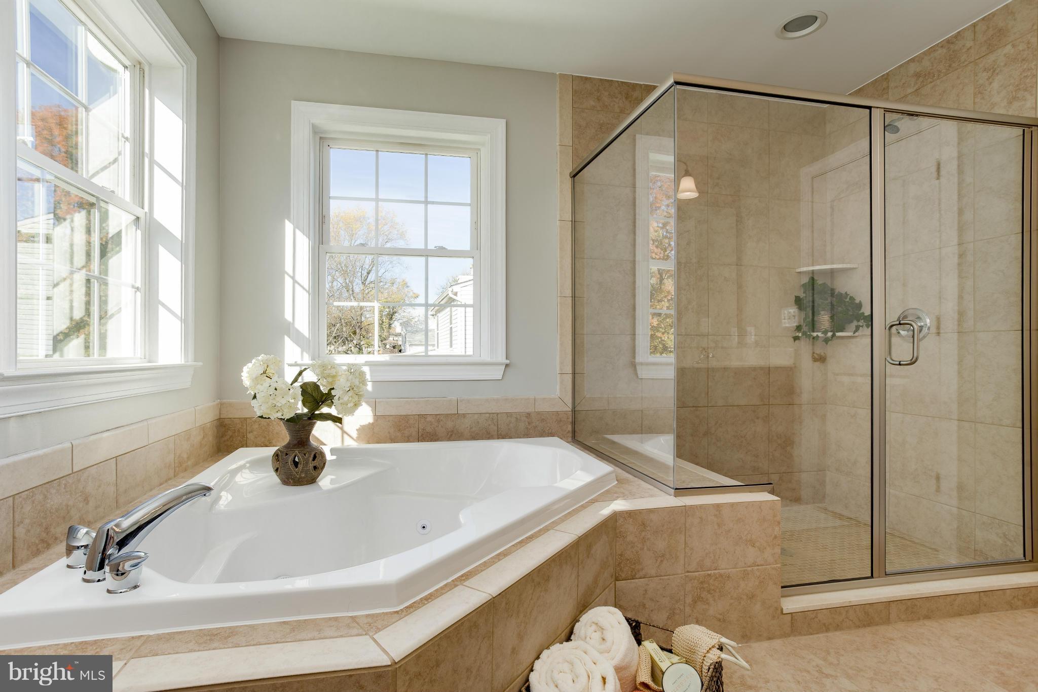 4821 Ridge Road Baltimore, MD 21237 - Photo 5 of 25 Bath (Master)