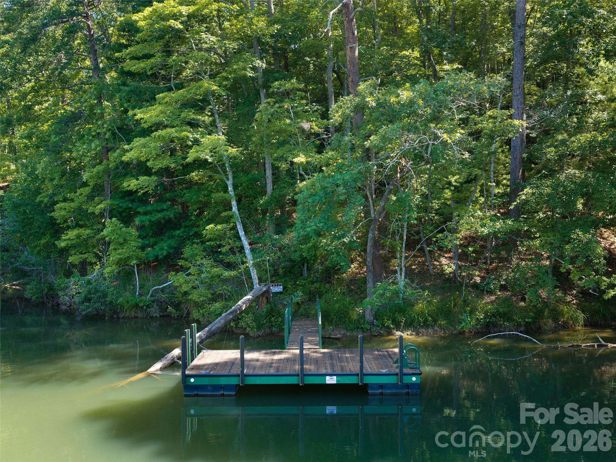 Lot #13 South Cove Rd Mill Spring Mill Spring, NC 28756 - Photo 4 of 16 a view of boat floating on river