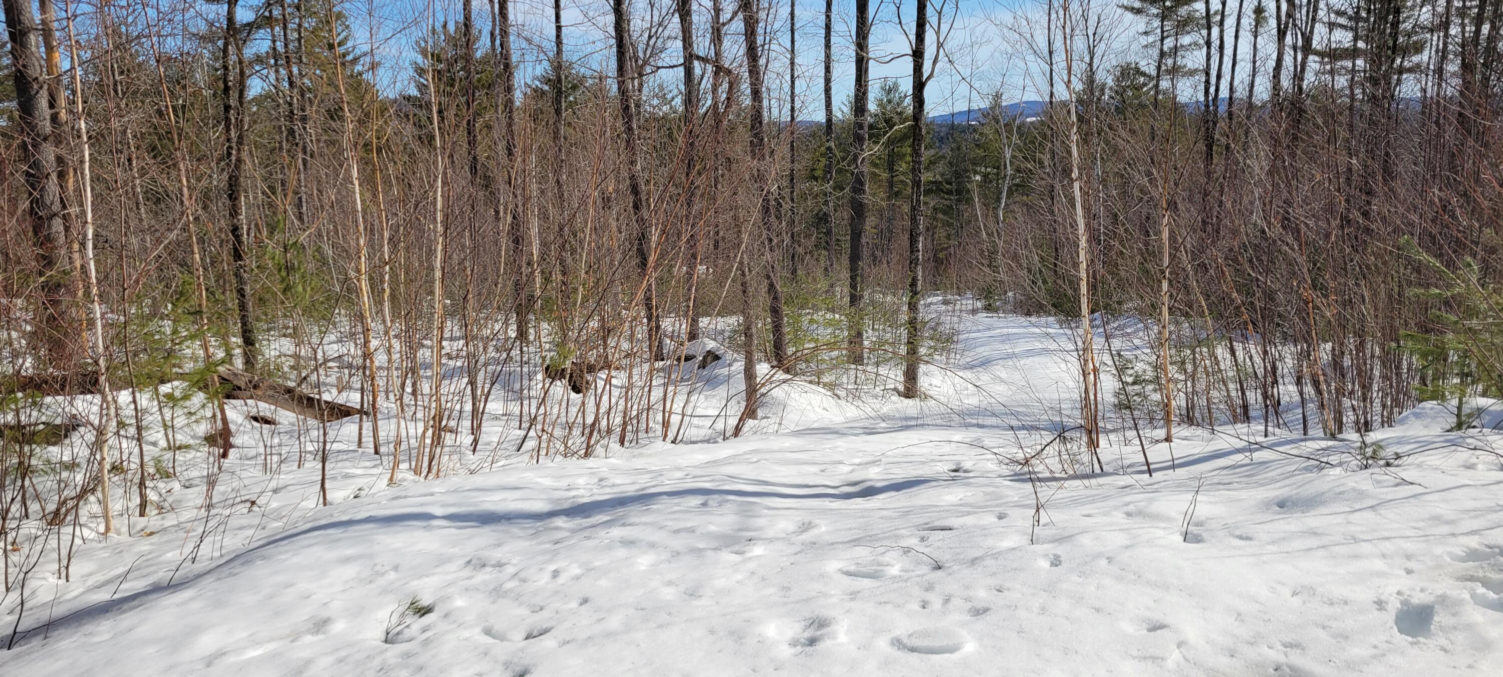 35 A Route Stow, ME 04037 - Photo 3 of 7 20230216_111645