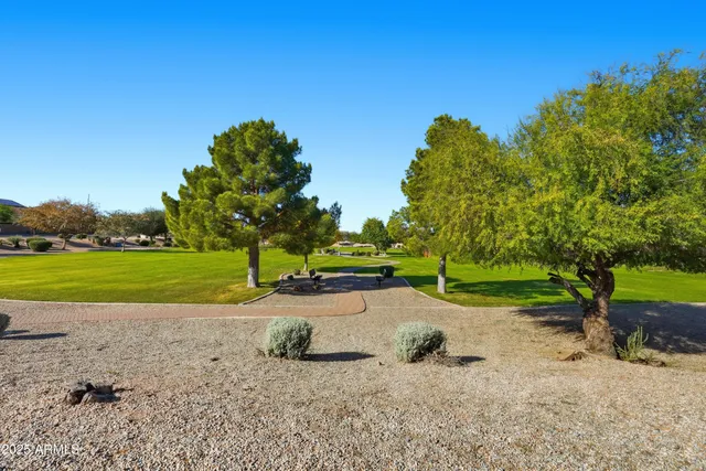 a view of a park with large trees